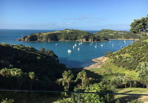 Blog Post 01 Alt Text